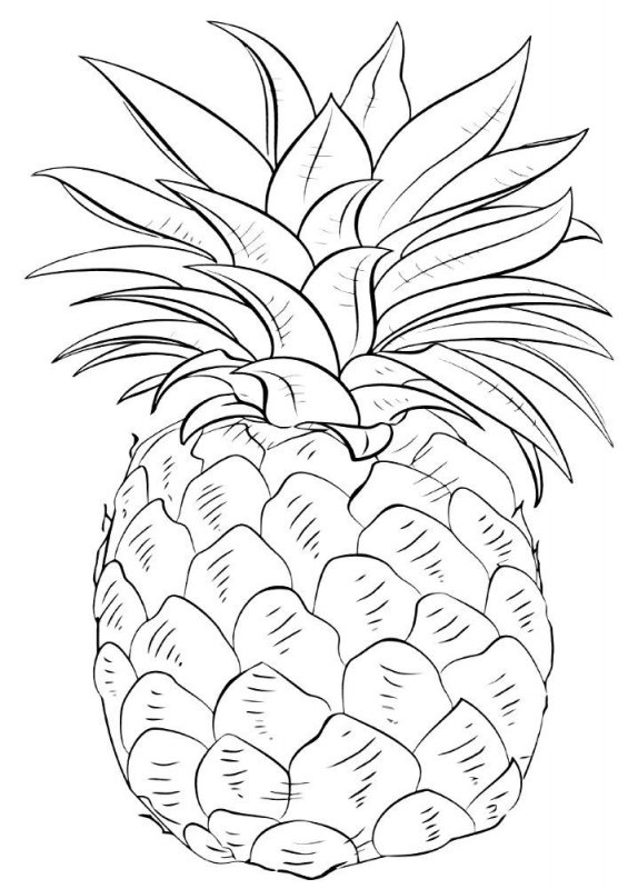 Ananas · 10, disegno da colorare