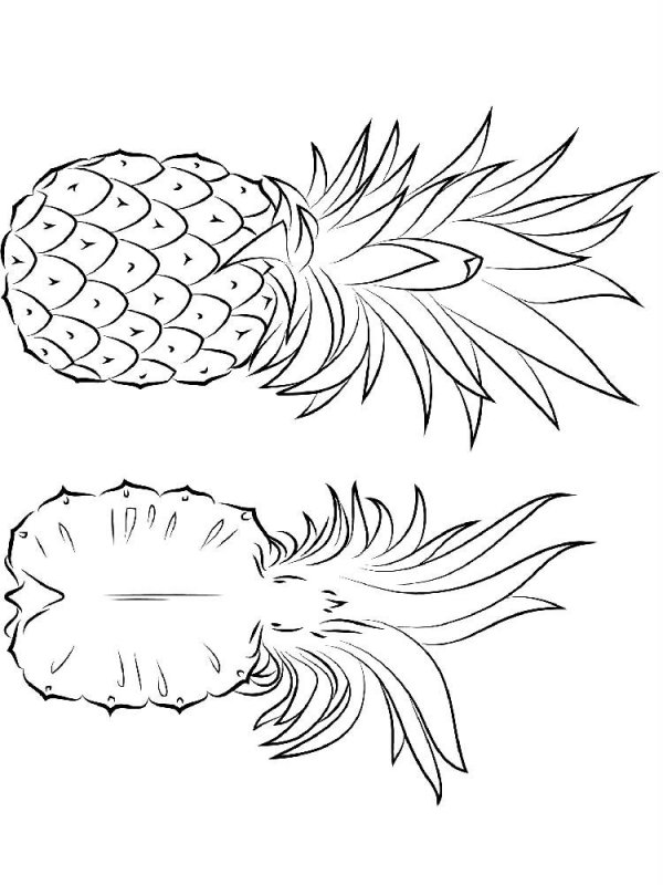 Ananas · 11, disegno da colorare