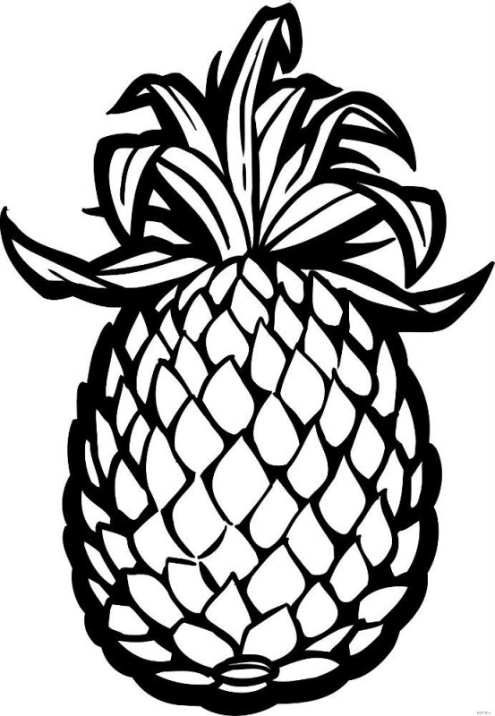 Ananas · 2, disegno da stampare e colorare
