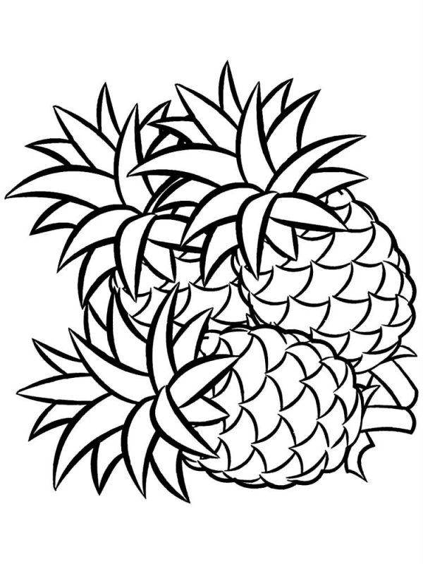Ananas · 5, disegno da stampare e colorare