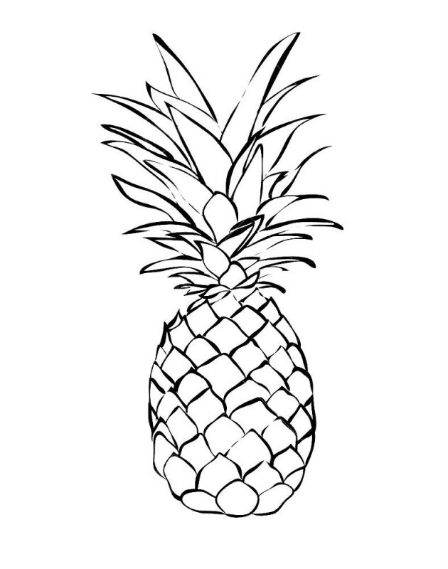Ananas · 4, disegno da stampare e colorare