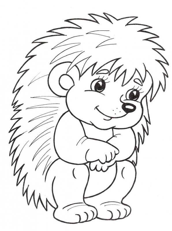 Riccio · 11, disegno da stampare e colorare