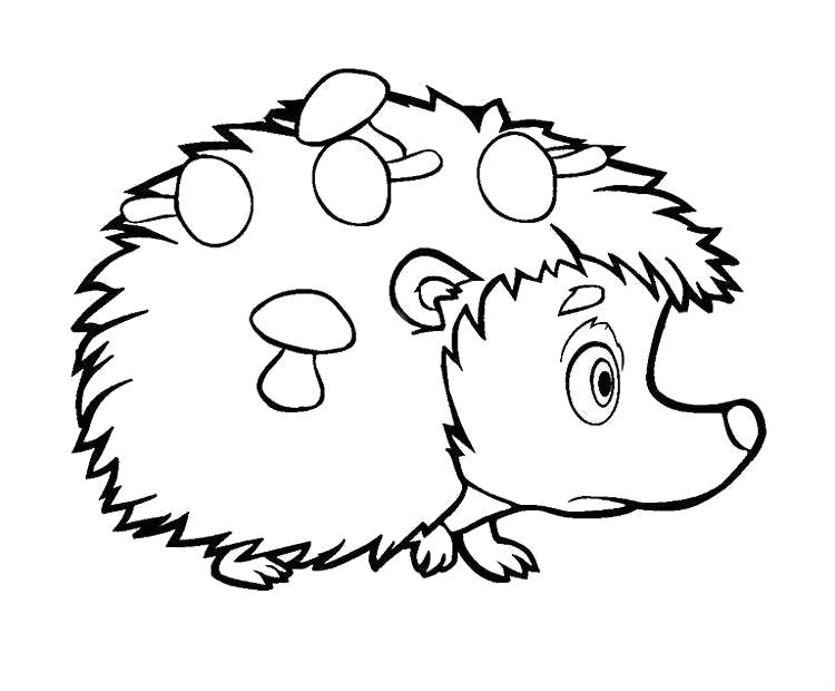 Riccio · 14, disegno da stampare e colorare