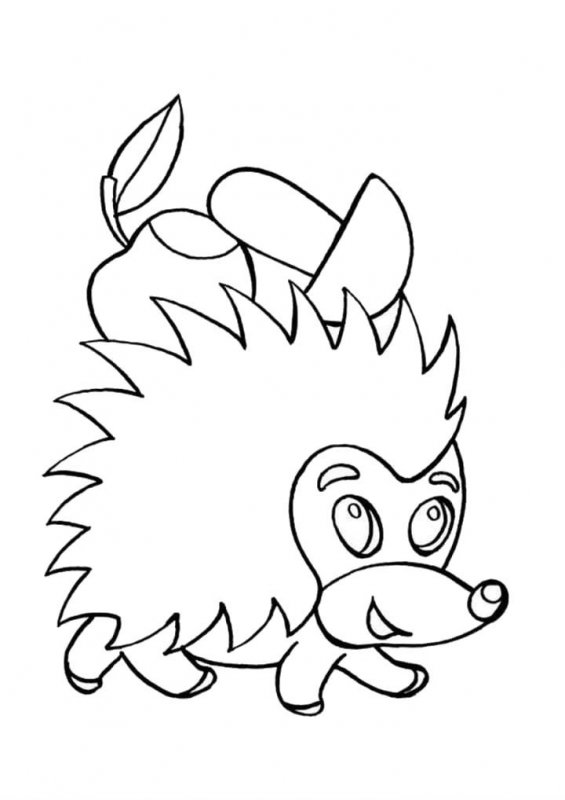 Riccio · 8, disegno da colorare