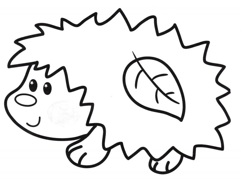 Riccio · 7, disegno da colorare