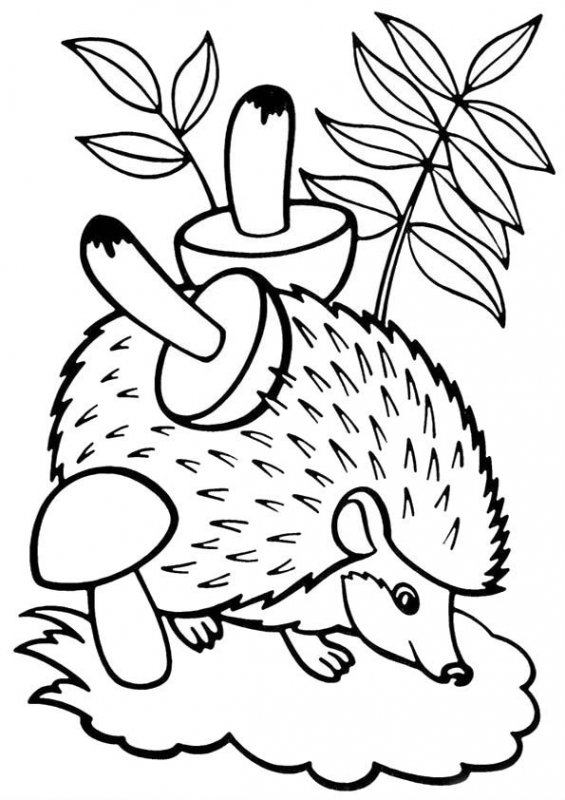 Riccio · 20, disegno da stampare e colorare
