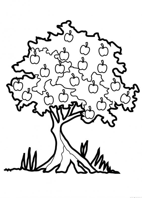 Autunno, disegno da stampare e colorare