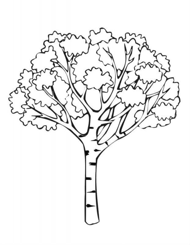 Autunno, disegno da stampare e colorare