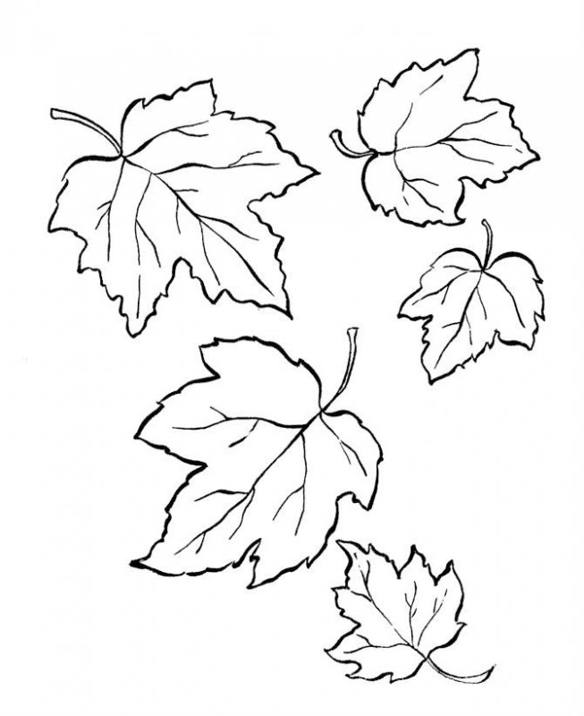 Autunno, disegno da stampare e colorare
