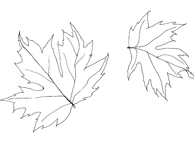 Autunno, disegno da stampare e colorare
