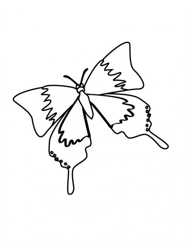 Primavera · 8, disegno da colorare