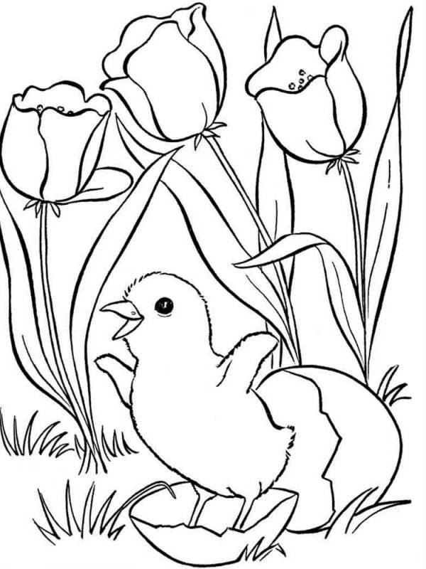 Primavera · 11, disegno da colorare