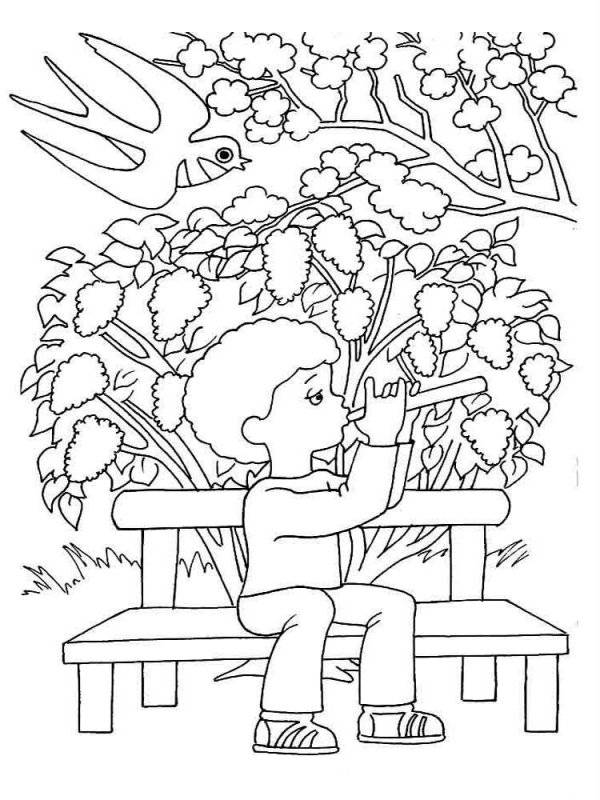 Primavera · 13, disegno da colorare