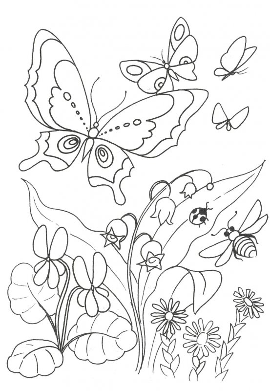 Primavera · 15, disegno da colorare