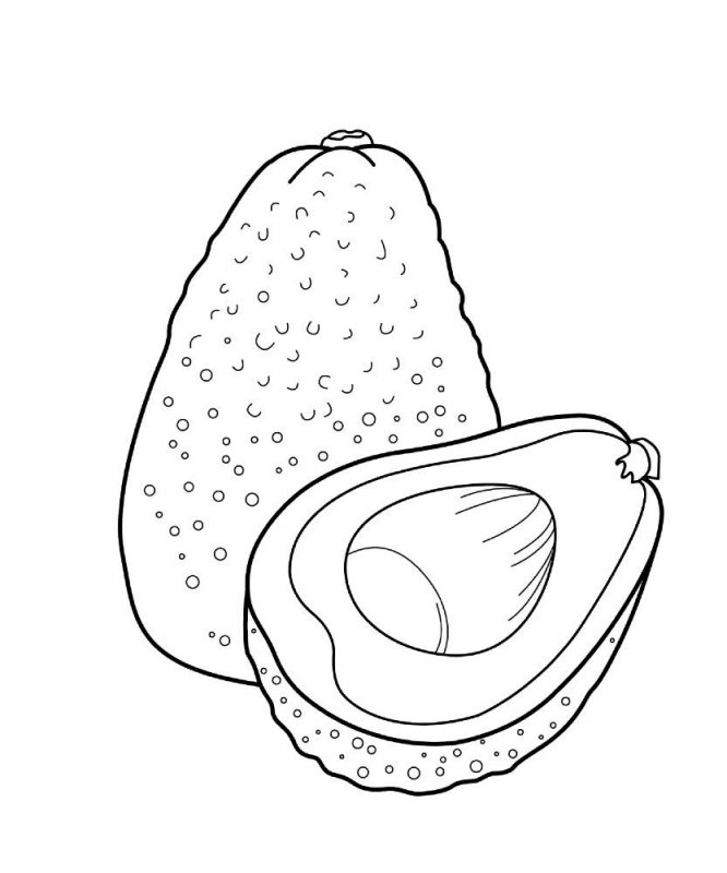 Avocado · 2, disegno da stampare e colorare