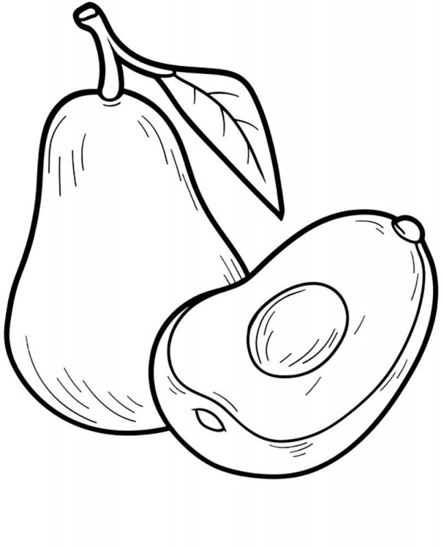 Avocado · 4, disegno da stampare e colorare