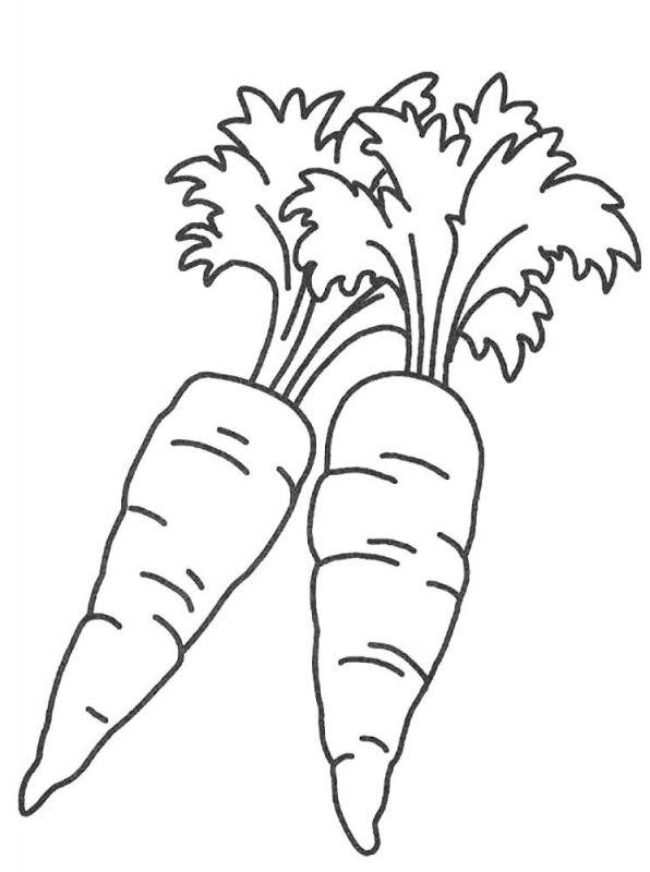 Carota · 3, disegno da stampare e colorare