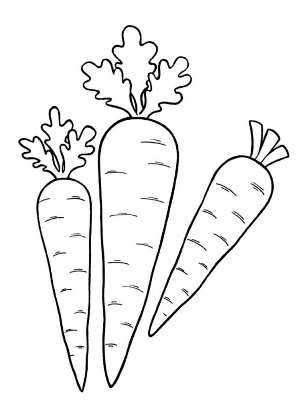 Carota · 5, disegno da stampare e colorare