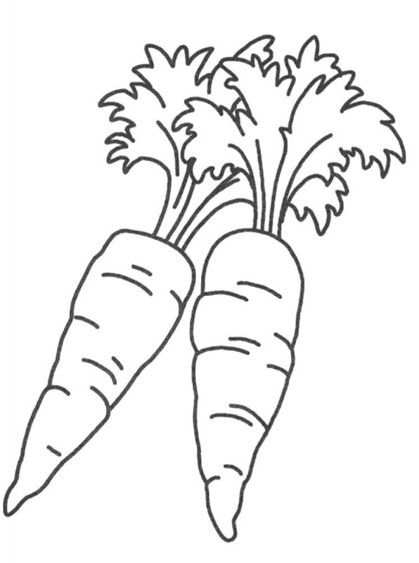 Carota · 11, disegno da colorare