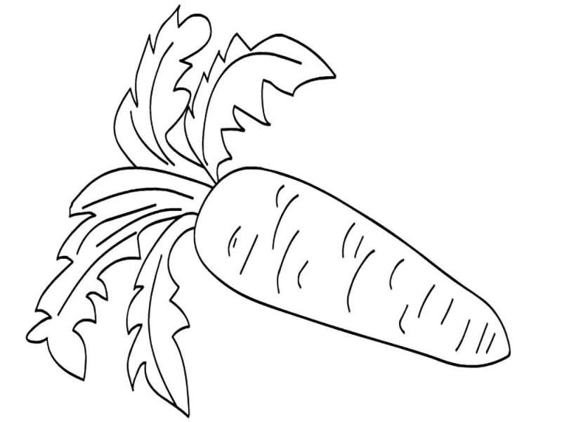 Carota · 15, disegno da colorare