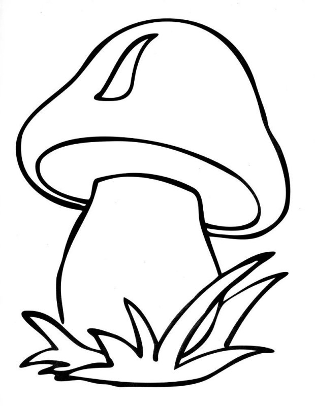 Funghi · 11, disegno da colorare