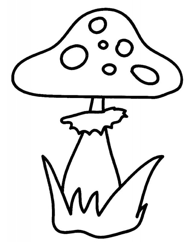 Funghi · 19, disegno da colorare