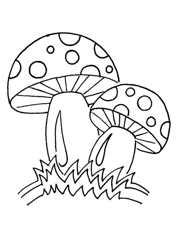 Funghi · 18, disegno da colorare
