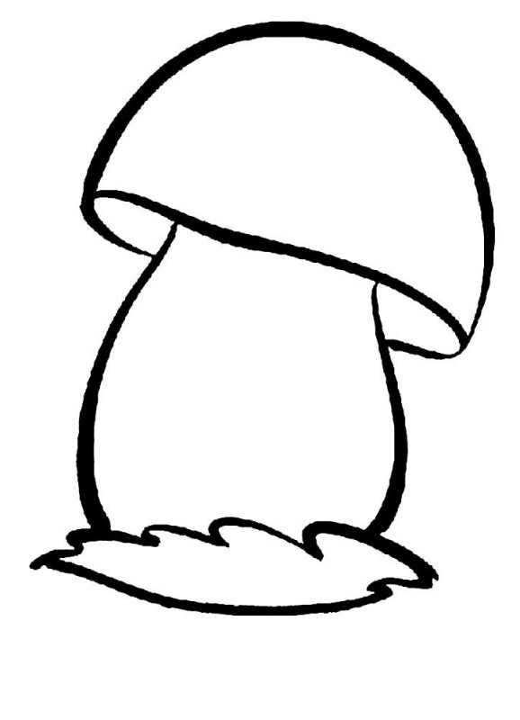 Funghi · 17, disegno da colorare