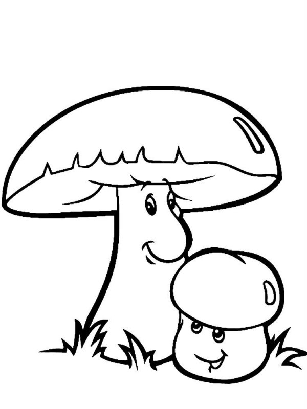 Funghi · 15, disegno da colorare