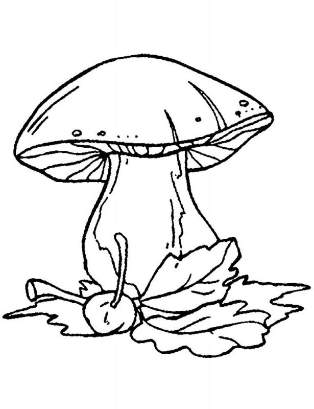 Funghi · 13, disegno da colorare