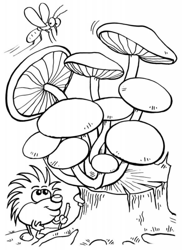 Funghi · 2, disegno da stampare e colorare