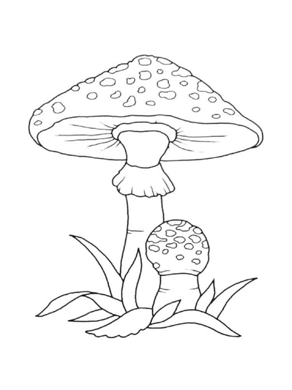 Funghi · 9, disegno da colorare
