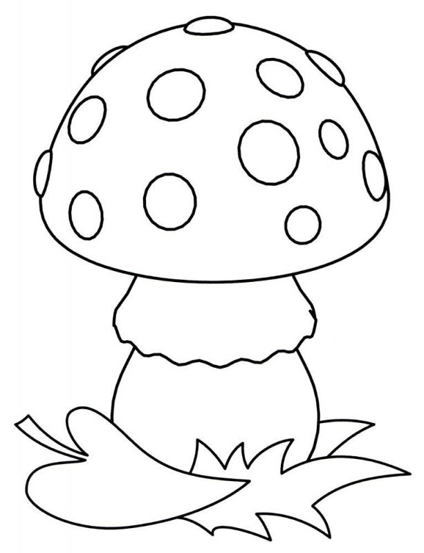 Funghi · 5, disegno da stampare e colorare