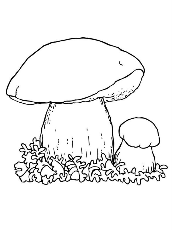 Funghi · 4, disegno da stampare e colorare