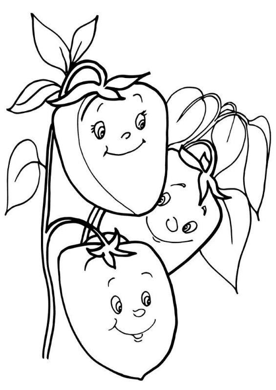 Pepperoni · 7, disegno da colorare