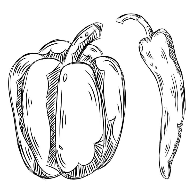 Pepperoni · 6, disegno da colorare