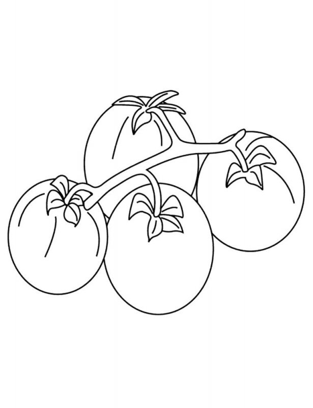 Pomodori · 1, disegno da stampare e colorare