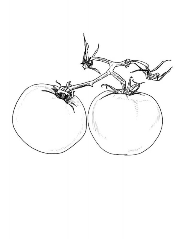 Pomodori · 9, disegno da colorare