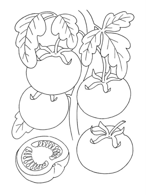 Pomodori · 7, disegno da colorare