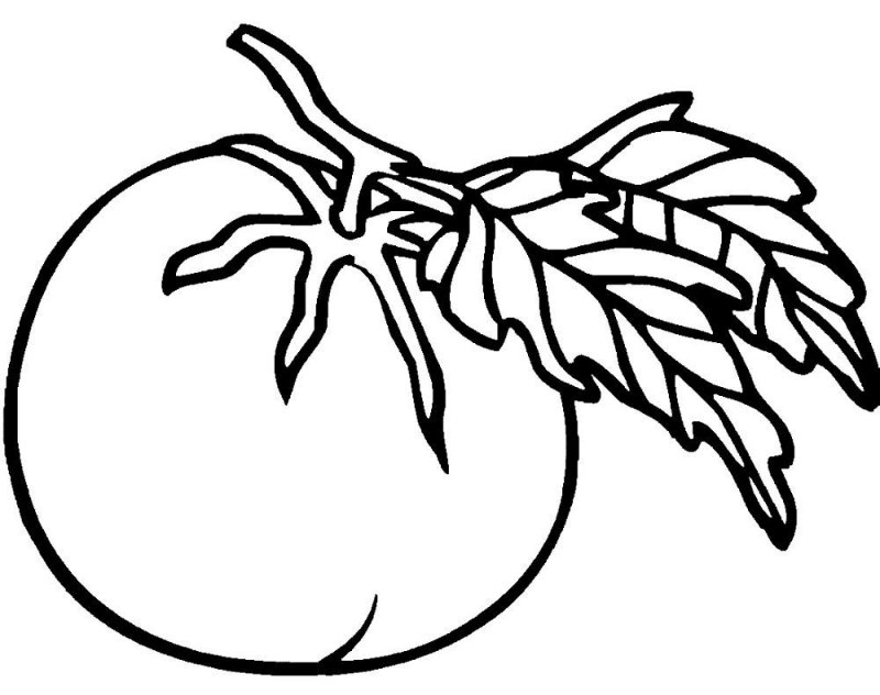 Pomodori · 5, disegno da stampare e colorare