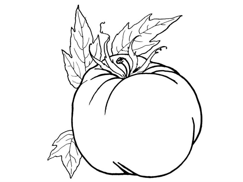 Pomodori · 4, disegno da stampare e colorare
