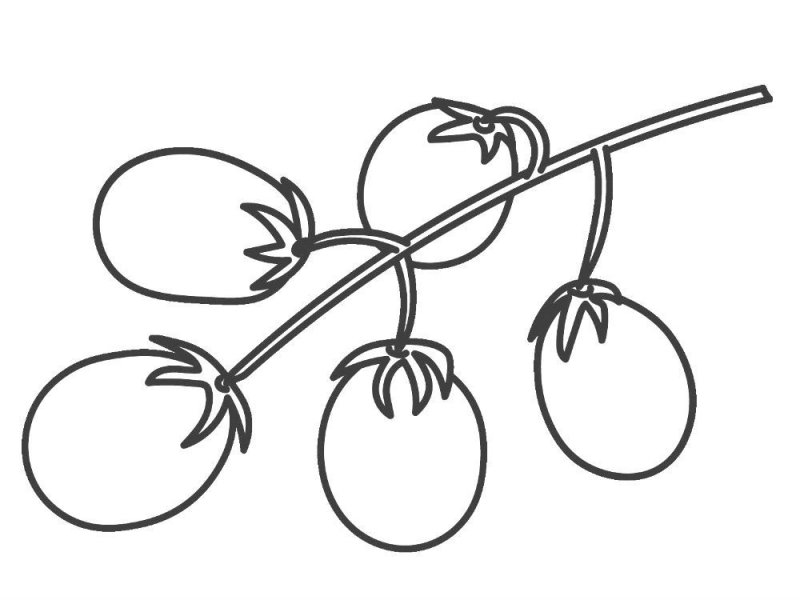 Pomodori · 3, disegno da stampare e colorare