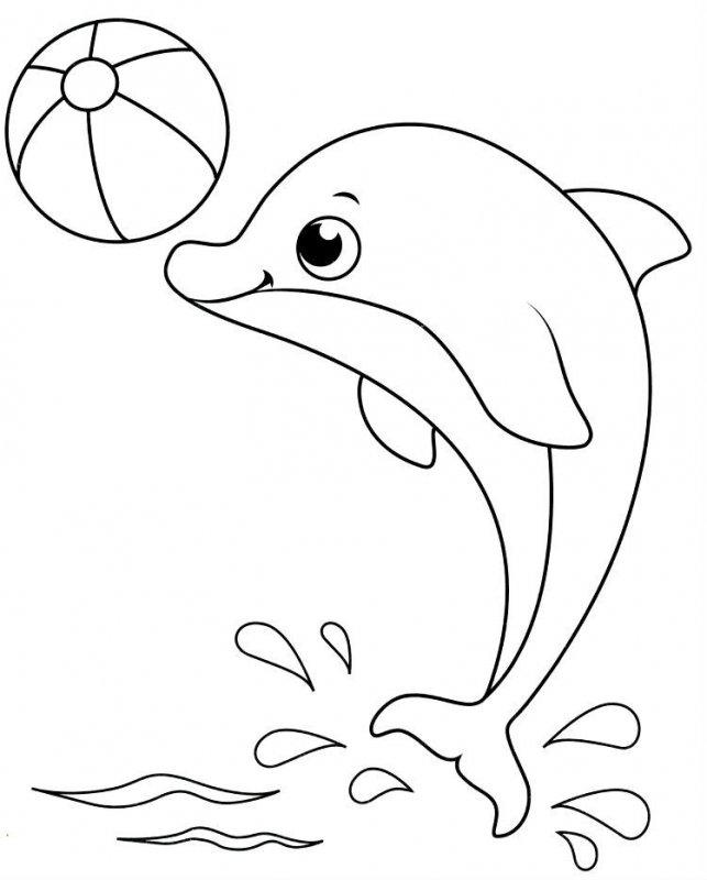 Delfino · 20, disegno da colorare