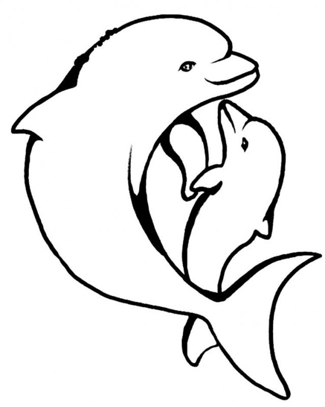 Delfino · 21, disegno da colorare
