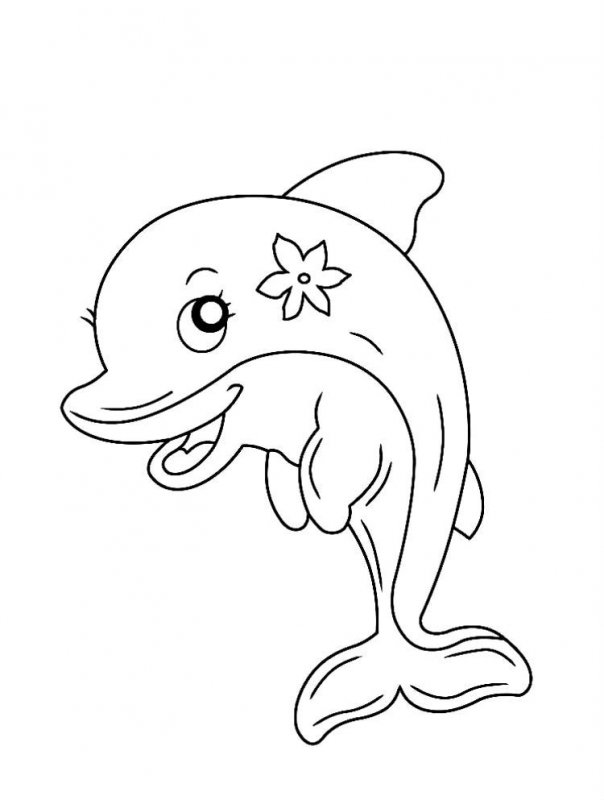 Delfino · 24, disegno da colorare