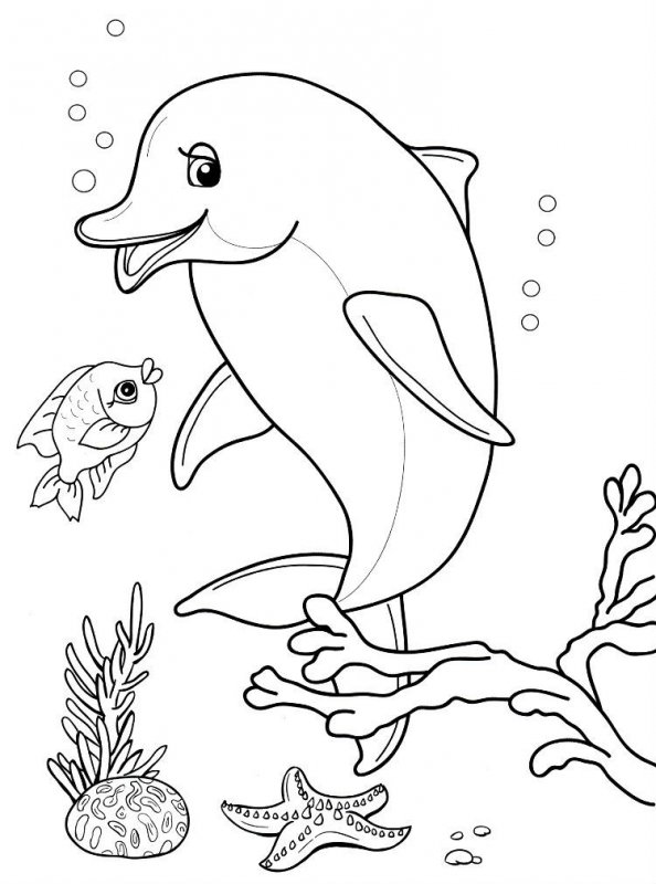 Delfino · 26, disegno da colorare