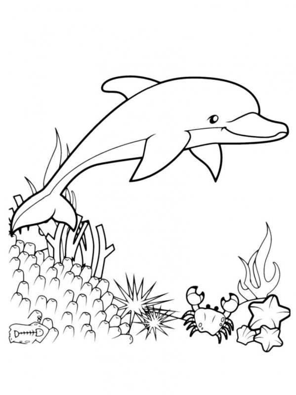 Delfino · 27, disegno da colorare