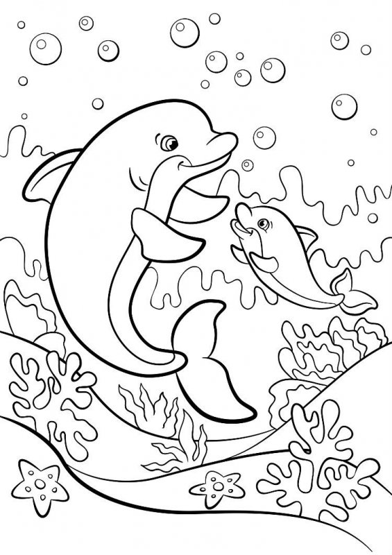 Delfino · 28, disegno da colorare