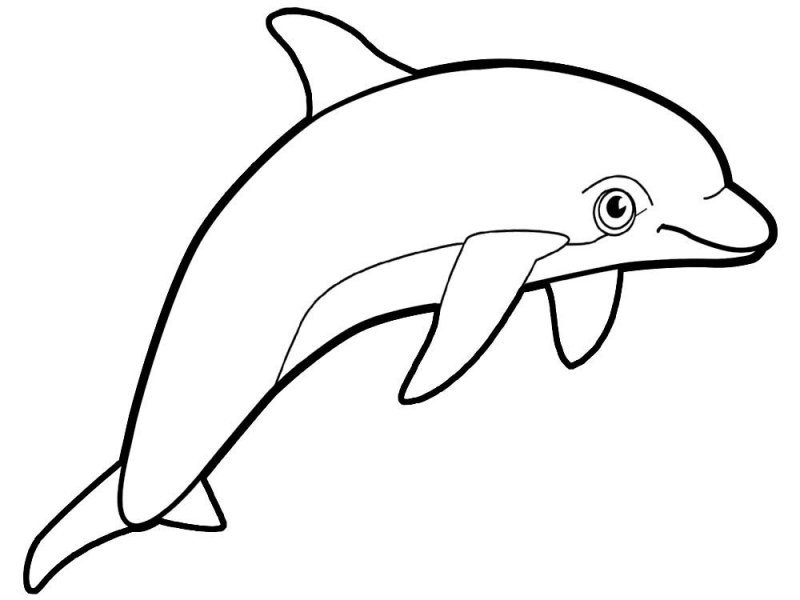 Delfino · 22, disegno da colorare