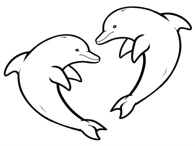 Delfino · 30, disegno da colorare